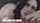 blacked interracial animation