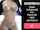 xvideos ads ad on xvideos