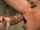 blowjob brunette deluxepass