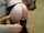 camgirl couple blowjob