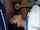 blowjob spunked spunk blasting