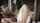 teen taboo girflfriend
