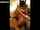milf mature couple