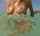 caucasian blonde ocean