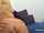 casting fake amateur