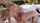 blonde blowjob facefuck