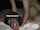 doggystyle hard submissive