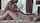 interracial bbc white girl