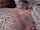 tattoos tattoo studio blowjob