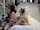 camgirl cam cute