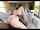 brunette bbc teen