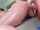 ass tits doggy
