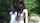 lesbian girlongirl jungle