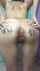 asshole whore anal