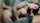 tattoo blowjob handjob