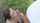 teen blowjob public