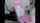 camgirl dildo chair