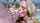 blowjob blonde sucking