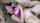 milf anal mom
