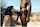 brunette outdoor blowjob