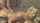 blonde doggy scene