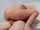 handjob fuck blowjob