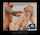 porn ad pornhub pornstar