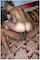 interracial tattoo blonde