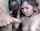 amateur brunette 3 girls