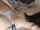 thigh socks blowjob doggystyle