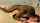 webcam camgirl interracial