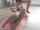 asian tiny chinese