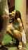 pornstar sex blonde
