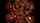 orgy rocco siffredi harem