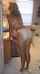 mature milf ass