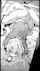 doujin hentai manga