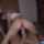 amateur brunette reverse cowgirl