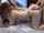 amateur threesome asian