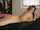 amateur forum amateurs
