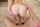 bigdick nasty fuck
