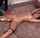 amateur teen pornstar