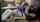 riley reid cheerleader incest
