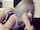 camgirl dildo blowjob