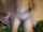 cam couple amateur