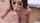 ass tits doggy