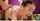 amateur porn ad pussy