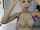 camgirl blonde deepthroat