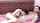 camgirl amateur couple