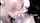 mature blowjob cumshot