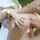 white girl creampie blonde